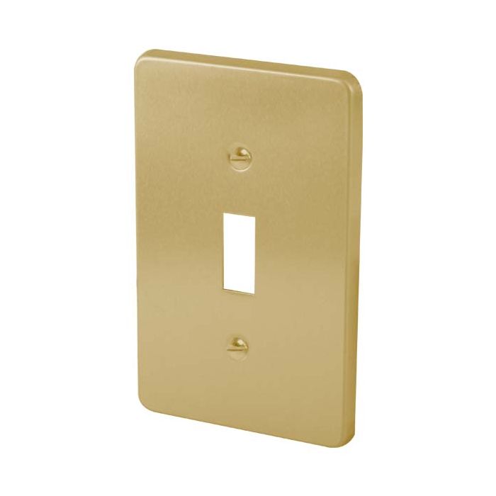 PLACA DE ALUMINIO PALANCA VERTICAL FULGORE